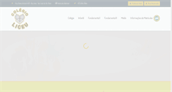 Desktop Screenshot of colegioliceu.com